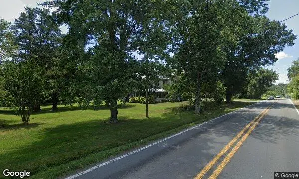 Street Views of Lavender at Gusenbury Fields Lavender Farm Whitsett, North Carolina - 3