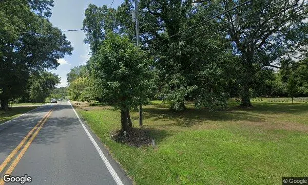 Street Views of Lavender at Gusenbury Fields Lavender Farm Whitsett, North Carolina - 4