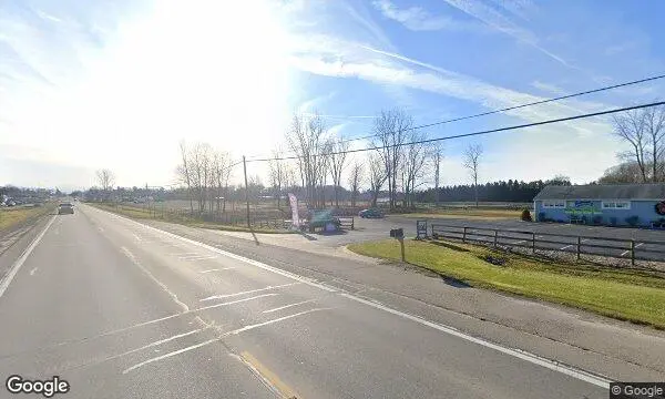 Street Views of Lavender  at Indigo Lavender Farms Imlay City, Michigan - 4