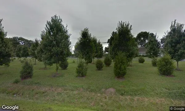 Street Views of Lavender at Purple Rain Lavender Farm Churchville, Maryland - 3