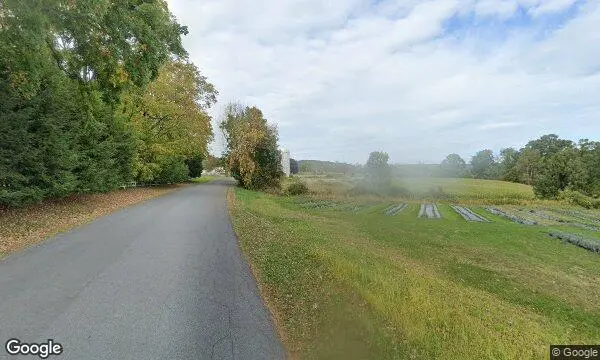 Street Views of Lavender  at Vine Gate Lavender Floral Farm Hillsdale, New york - 1