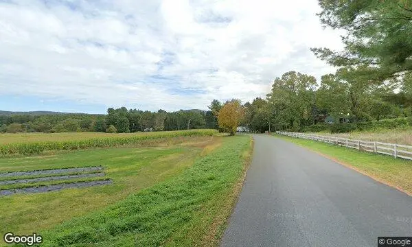 Street Views of Lavender  at Vine Gate Lavender Floral Farm Hillsdale, New york - 3