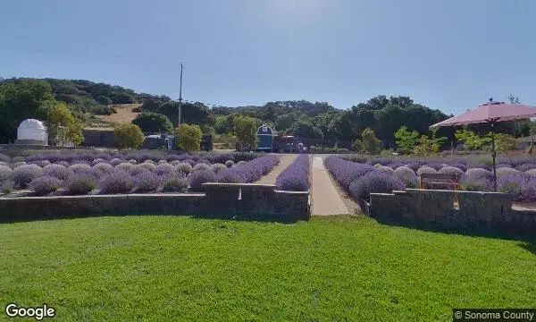 Street Views of Local Honey at Bees N Blooms Santa Rosa, California - 2
