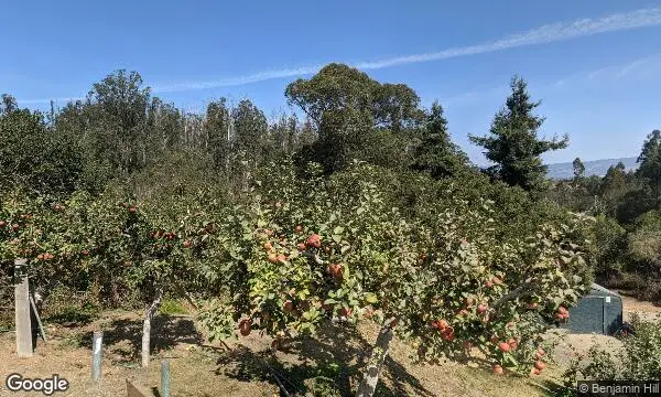 Street Views of Local Honey at Clearview Orchards Watsonville, California - 1