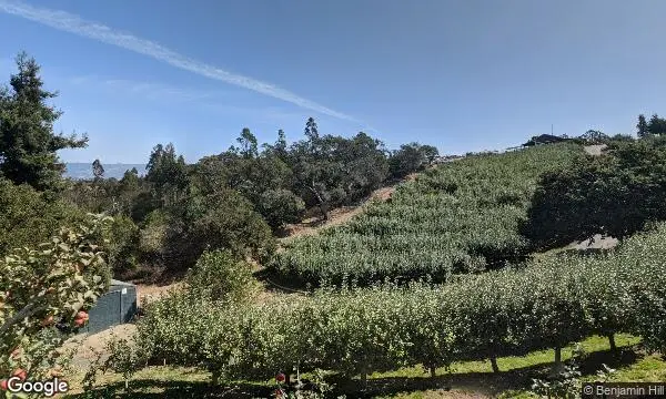 Street Views of Local Honey at Clearview Orchards Watsonville, California - 2