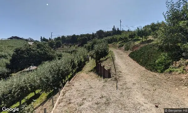 Street Views of Local Honey at Clearview Orchards Watsonville, California - 3