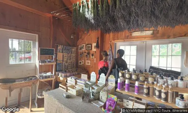 Street Views of Local Honey at Lavender by the Bay East Marion, New york - 1