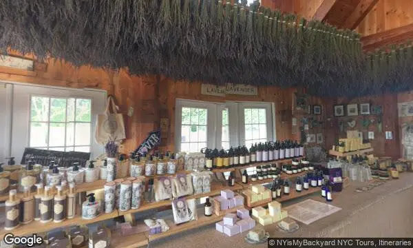 Street Views of Local Honey at Lavender by the Bay East Marion, New york - 2