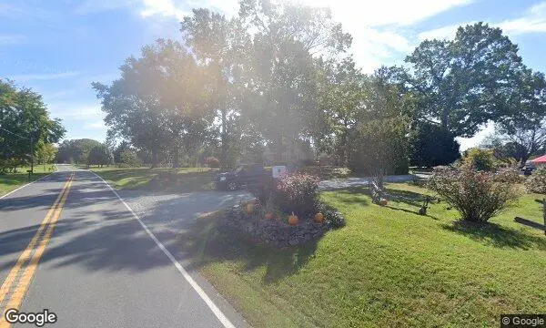 Street Views of Peach Picking at Fruit Hill Orchard Palmyra, Virginia - 3
