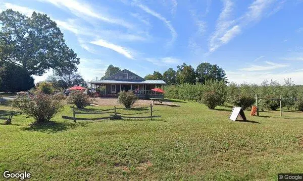 Street Views of Peach Picking at Fruit Hill Orchard Palmyra, Virginia - 4