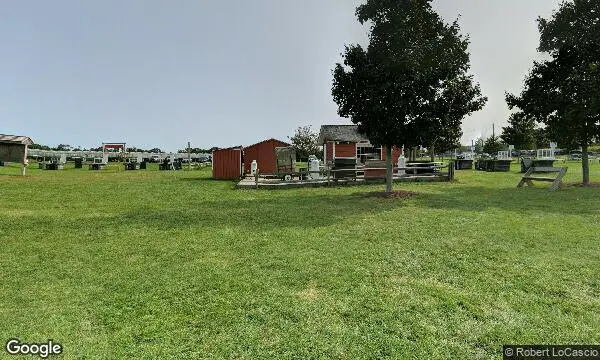 Street Views of Peach Picking at Harbes Orchard Riverhead, New york - 2