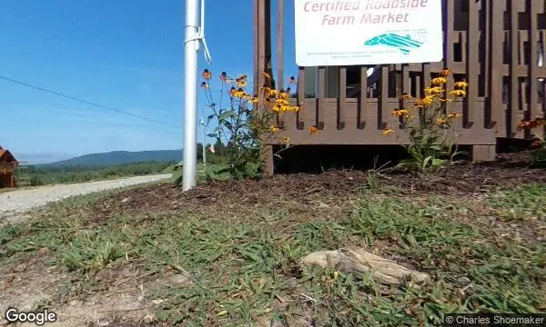Street Views of Peach Picking at Justus Orchard Hendersonville, North carolina - 4