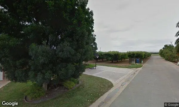 Street Views of Peach Picking at Pease Ranch Brentwood, California - 3