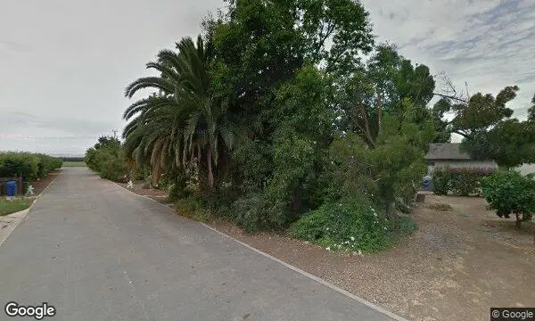 Street Views of Peach Picking at Pease Ranch Brentwood, California - 4