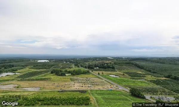 Street Views of Peach Picking at Prospect Hill Orchards at the Hilltop- Cherry, Peach & Apple Pick-Your-Own Milton, New york - 1