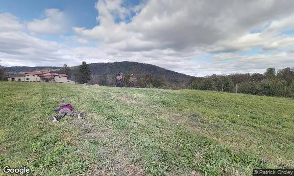 Street Views of Peach Picking at Stribling Orchard - Peach Picking in VA Markham, Virginia - 1