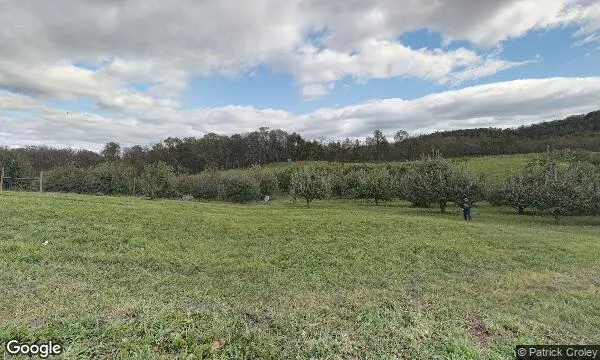 Street Views of Peach Picking at Stribling Orchard - Peach Picking in VA Markham, Virginia - 2