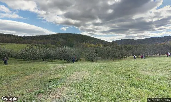 Street Views of Peach Picking at Stribling Orchard - Peach Picking in VA Markham, Virginia - 3