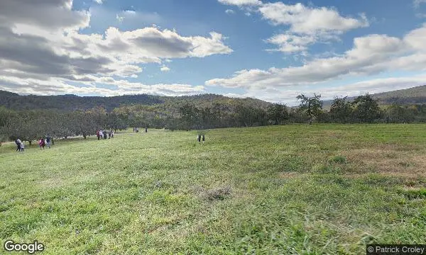 Street Views of Peach Picking at Stribling Orchard - Peach Picking in VA Markham, Virginia - 4