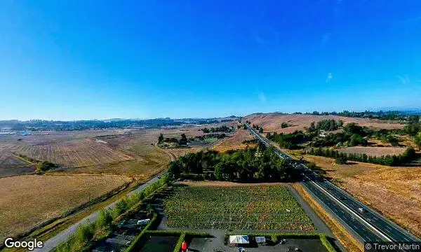 Street Views of Petaluma Pumpkin Patch Petaluma, California - 2