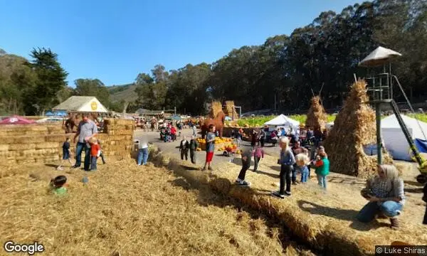 Street Views of Pumpkin  at Arata’s Pumpkin Farm Half Moon Bay, California - 1