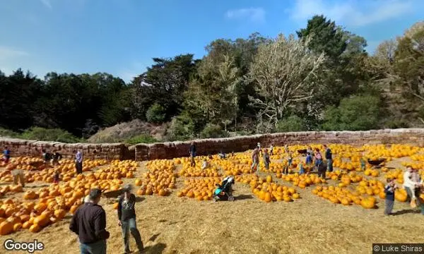 Street Views of Pumpkin  at Arata’s Pumpkin Farm Half Moon Bay, California - 4