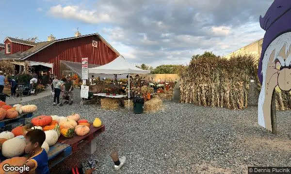 Street Views of Pumpkin  at Demarest Farms for Pumpkin Picking in New Jersey Hillsdale, New jersey - 2