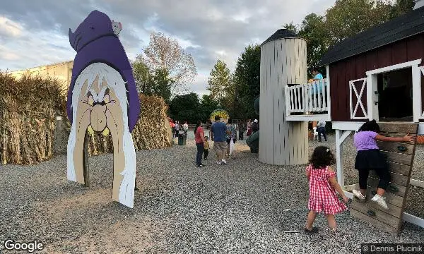 Street Views of Pumpkin  at Demarest Farms for Pumpkin Picking in New Jersey Hillsdale, New jersey - 3