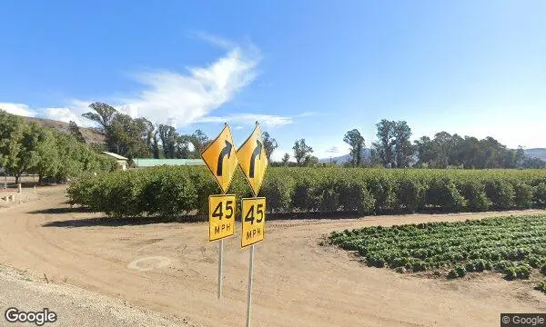 Street Views of Pumpkin  at Pumpkin Patch and Corn Maze at Limoneira Ranch Santa Paula, California - 2