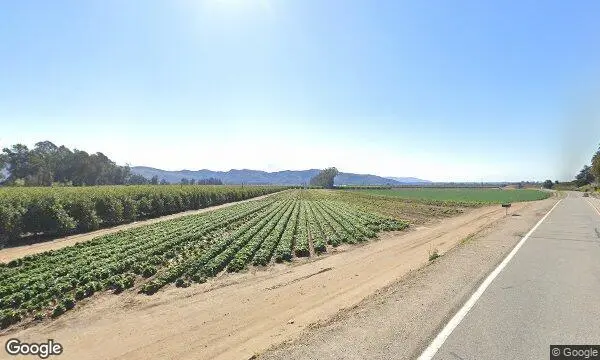 Street Views of Pumpkin  at Pumpkin Patch and Corn Maze at Limoneira Ranch Santa Paula, California - 3