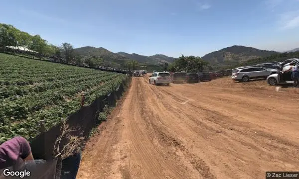 Street Views of Pumpkin at Stehly Farms Organics Valley Center, California - 3