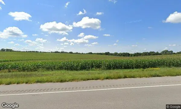 Street Views of Pumpkin Patch at Curranʼs Orchard Rockford, Illinois - 4
