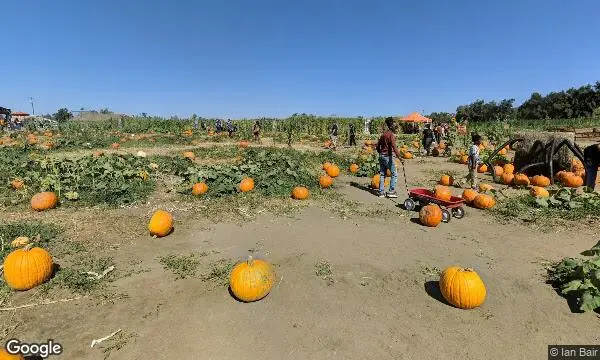 Street Views of Pumpkin Patch at Mountain Valley Ranch Ramona, California - 1