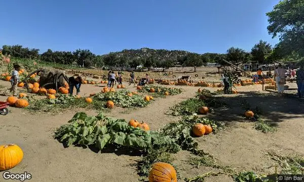 Street Views of Pumpkin Patch at Mountain Valley Ranch Ramona, California - 2