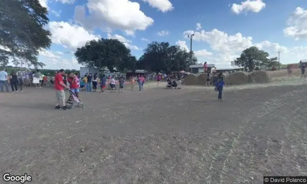 Street Views of Pumpkin Patch at South Texas Maize Hondo, Texas - 3