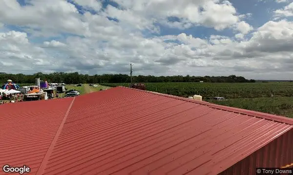 Street Views of  Southern Hill Farms Clermont, Florida - 1