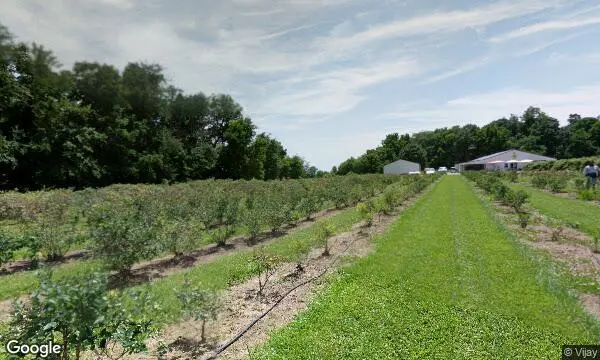 Street Views of  Spencer Farm Noblesville, Indiana - 3