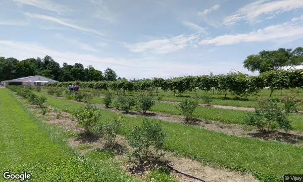 Street Views of  Spencer Farm Noblesville, Indiana - 4
