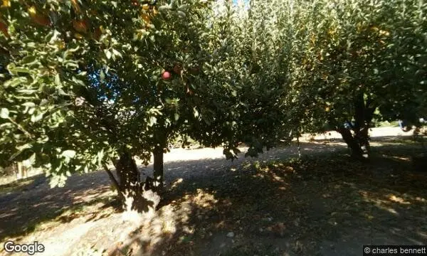 Street Views of  Stone Soup Farm & Heritage Orchard Yucaipa, California - 4