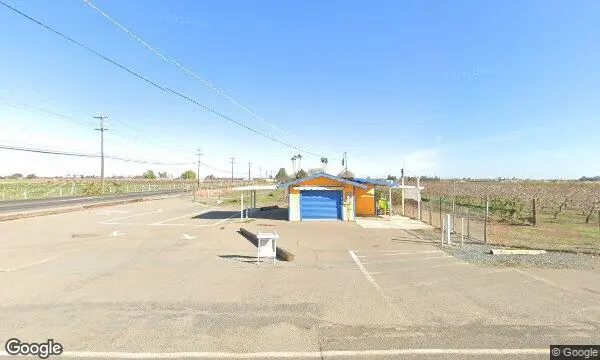 Street Views of Strawberry Picking at Bacchini’s Fruit Tree Brentwood, California - 1