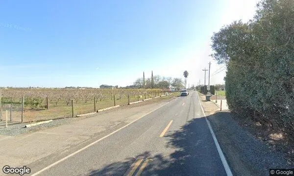 Street Views of Strawberry Picking at Bacchini’s Fruit Tree Brentwood, California - 2