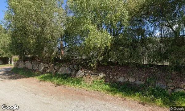 Street Views of Strawberry Picking at Be Wise Ranch - Strawberry Picking Escondido, California - 2