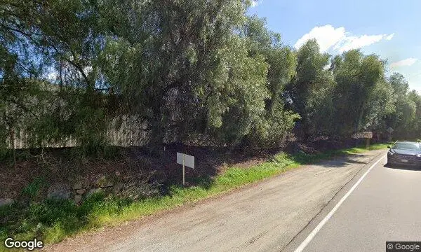 Street Views of Strawberry Picking at Be Wise Ranch - Strawberry Picking Escondido, California - 3