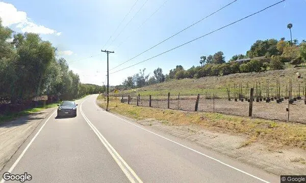 Street Views of Strawberry Picking at Be Wise Ranch - Strawberry Picking Escondido, California - 4