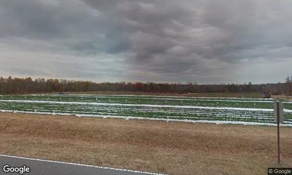 Street Views of Strawberry Picking at Knob Creek Orchard Lawndale, North carolina - 2