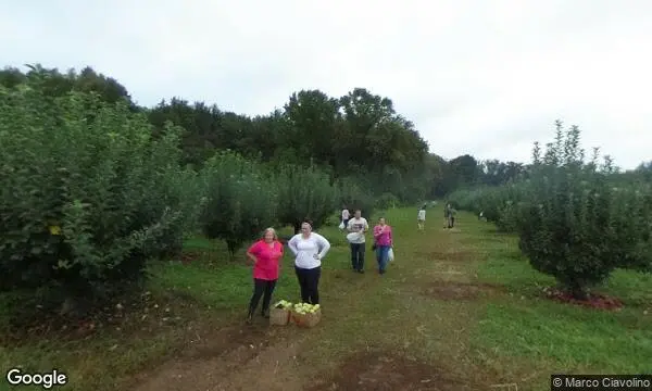 Street Views of Strawberry Picking at Lohr’s Orchard Churchville, Maryland - 1