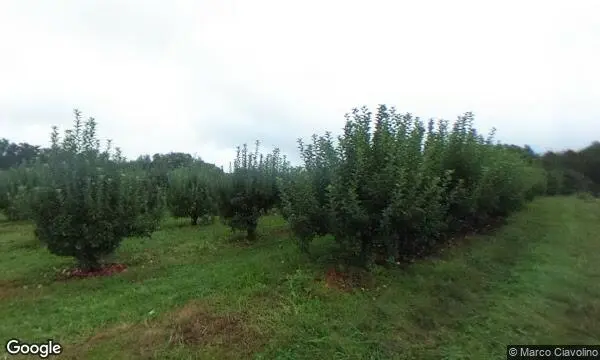 Street Views of Strawberry Picking at Lohr’s Orchard Churchville, Maryland - 2