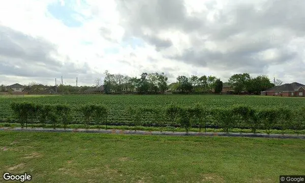 Street Views of Sunflower  at Atkinson Farms Spring, Texas - 3