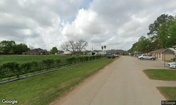 Street Views of Sunflower  at Atkinson Farms Spring, Texas - 4