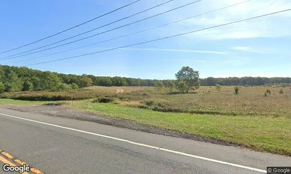 Street Views of Sunflower  at Condzella’s Farm Wading River, New york - 3